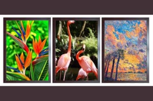 Read more about the article Galleria Fort Lauderdale Announces Call To Artists For Bloom, An Earth Day Juried Art Exhibition