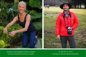 Read more about the article Mounts Botanical Garden of Palm Beach County Celebrates April Flowers with Multiple Events