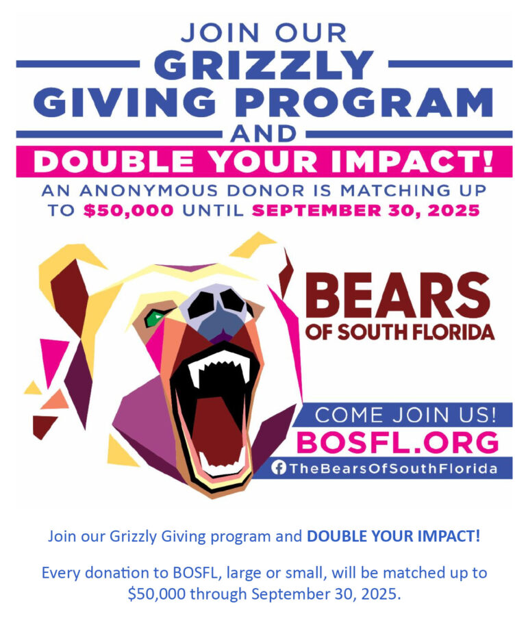 BOSFL Donor Matching Program_Poster