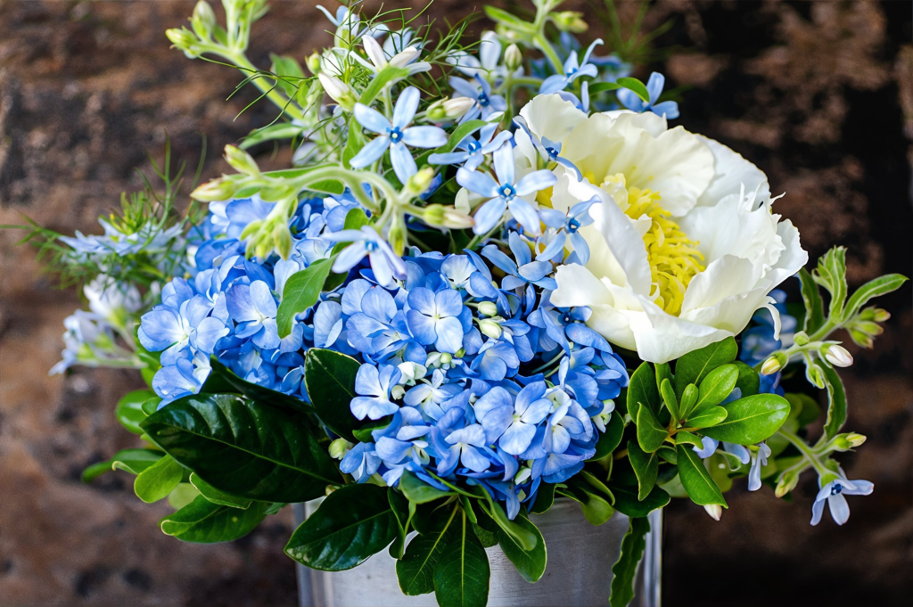 Ann’s Floral Shop and Coffee Bar