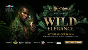 Read more about the article The Chic and Unique Ball Returns with Elegance