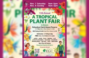 Read more about the article A Tropical Plant Fair