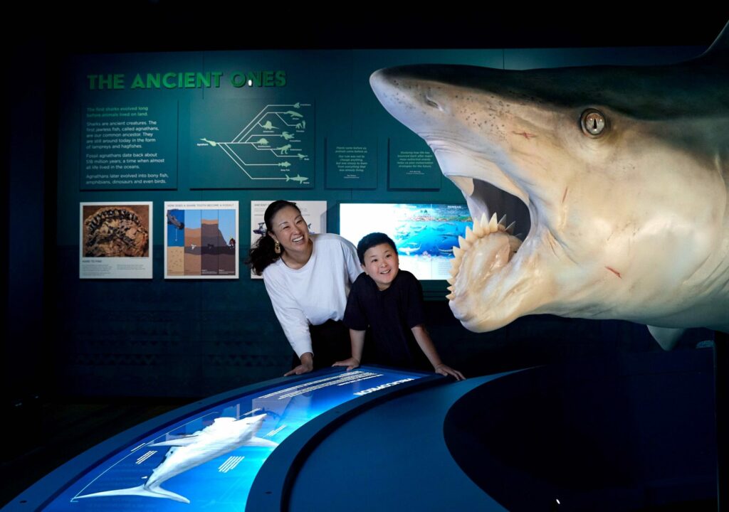 museum