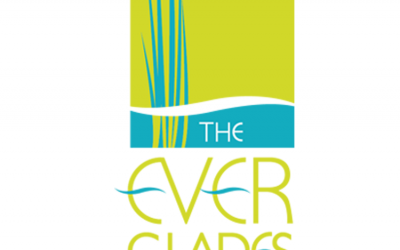 the everglades foundation
