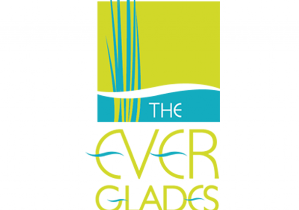 the everglades foundation