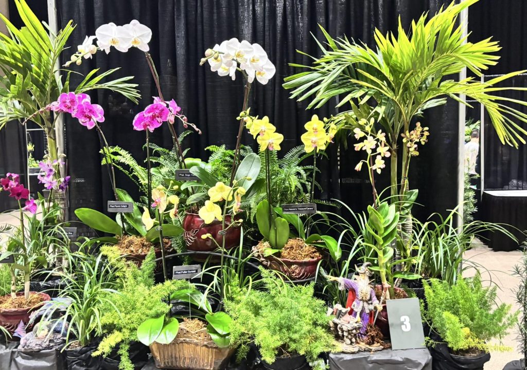 FTL Orchid Society