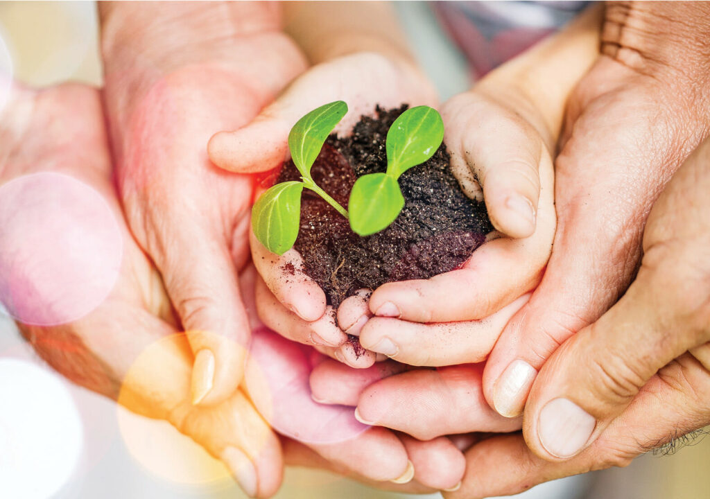 Pure green plant with soil in human hands on background