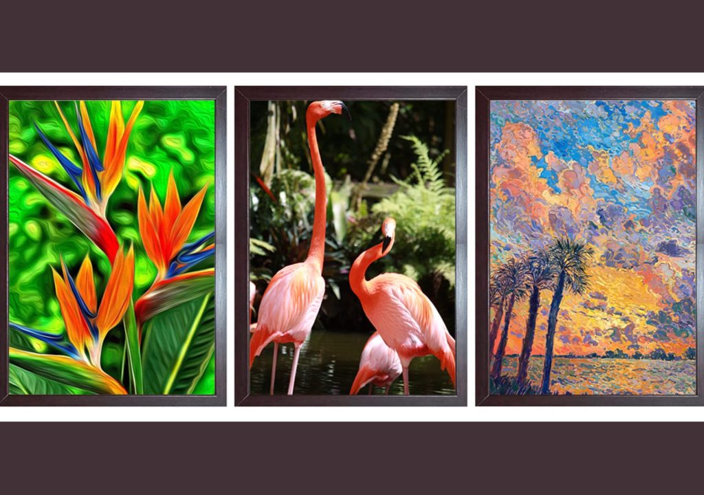 Bloom Galleria_Art Photos