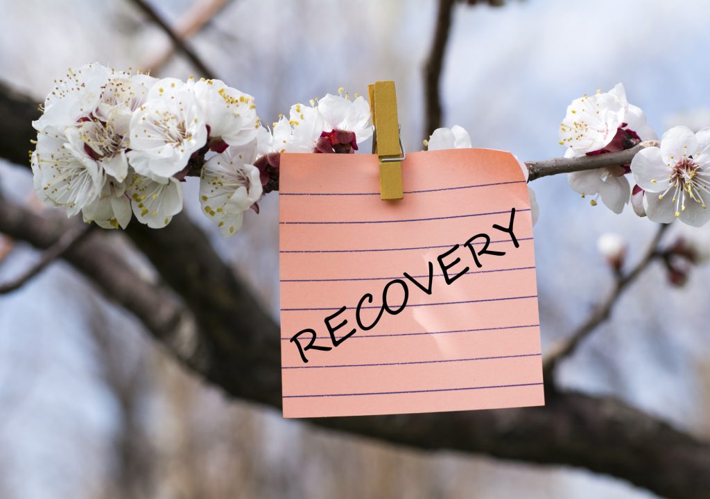 Recovery in memo pined on tree with blooms