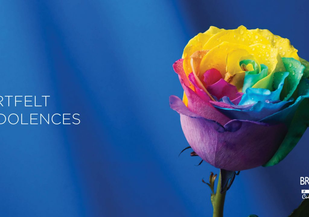 Rainbow rose on a blue background _ title reads: Our heartfelt condolences