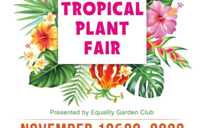Equality Garden Plant Fair Poster