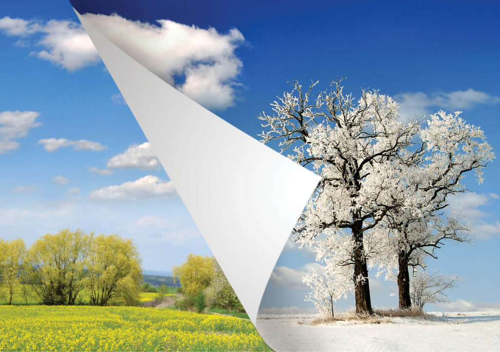 spring and winter landscape