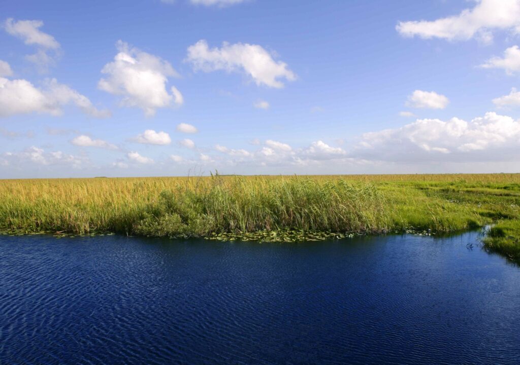 everglades