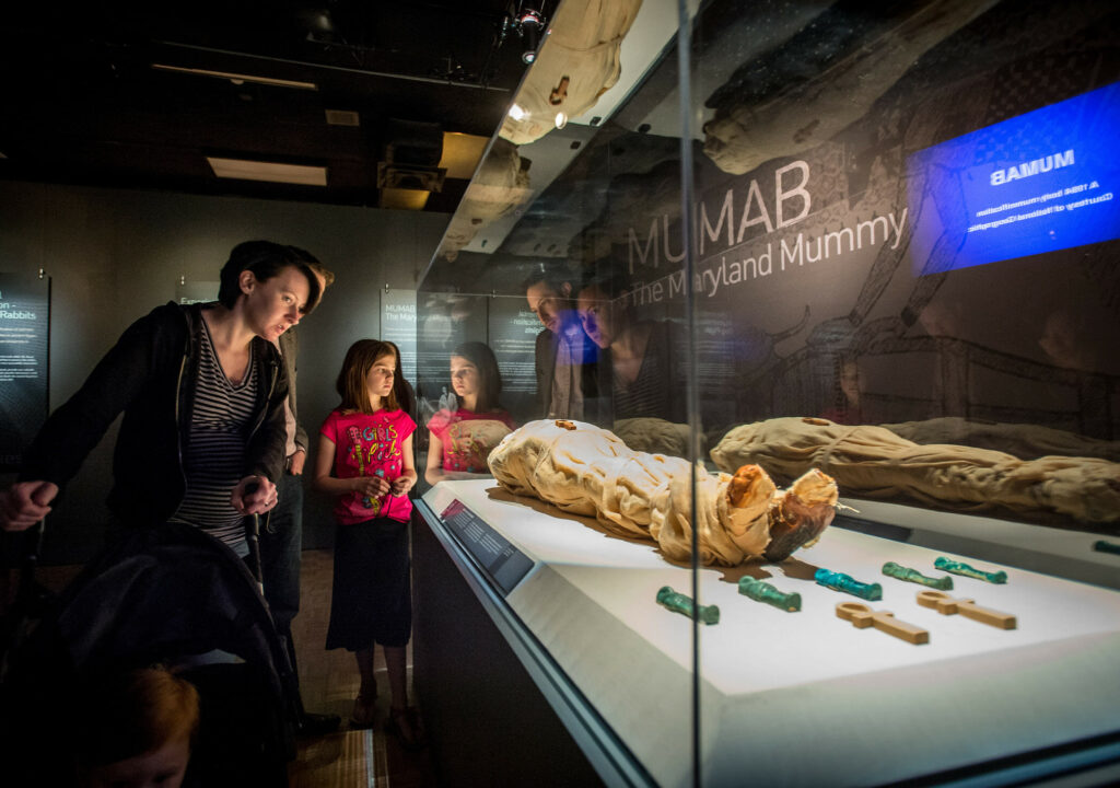 Frost Mummy Exhibit
