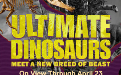 Frost Dinosaur Exhibit Poster