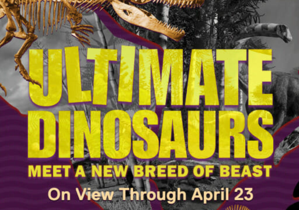 Frost Dinosaur Exhibit Poster