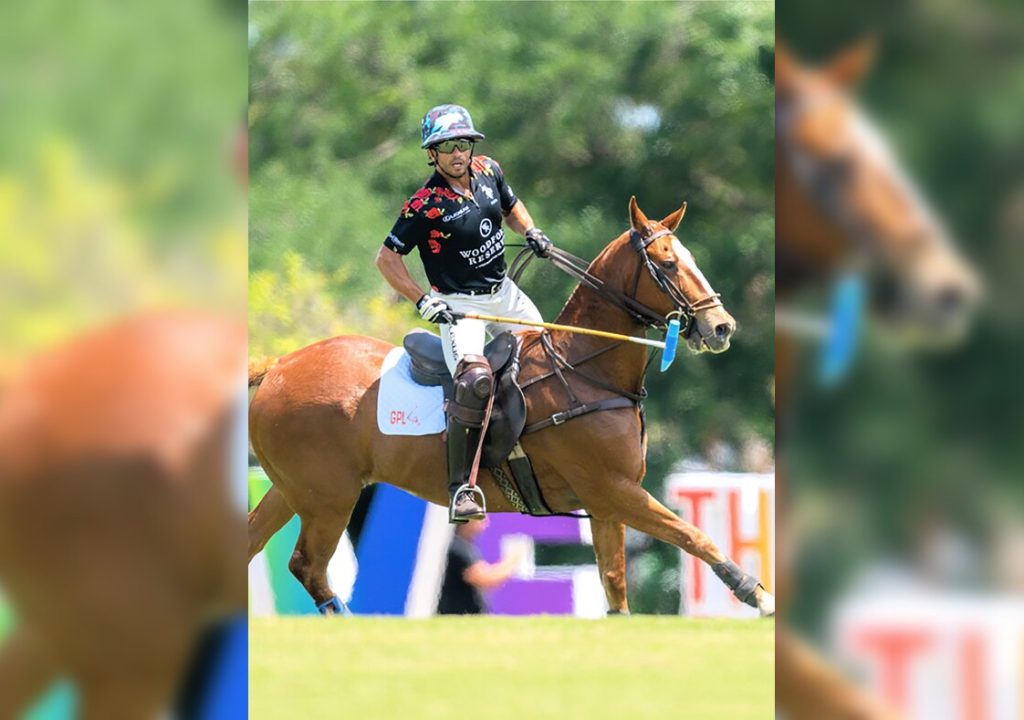 Gay Polo-gus horse