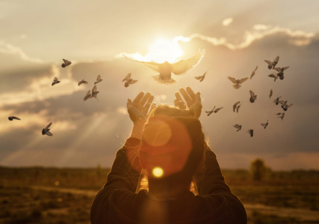 Doves fly into the woman hands against the background of a sunny sunset during prayer.