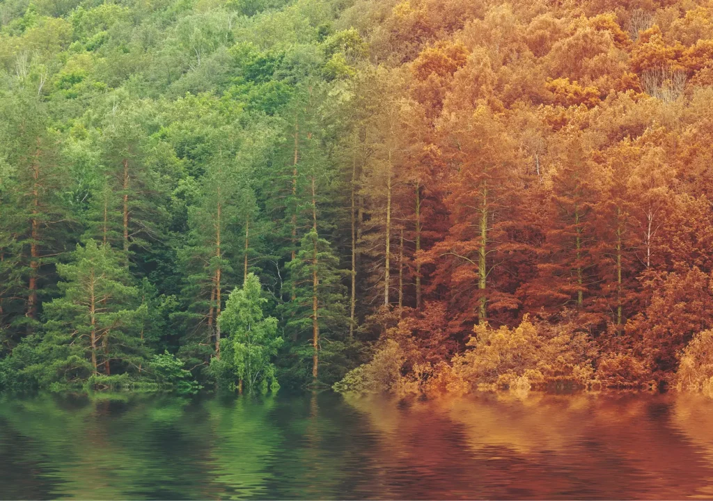 Summer to autumn fall forest reflected on the lake