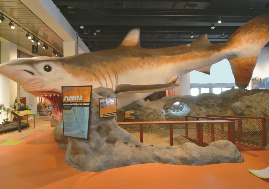 MODS _ megalodons pread