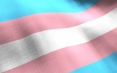 Transgender Flag Photo