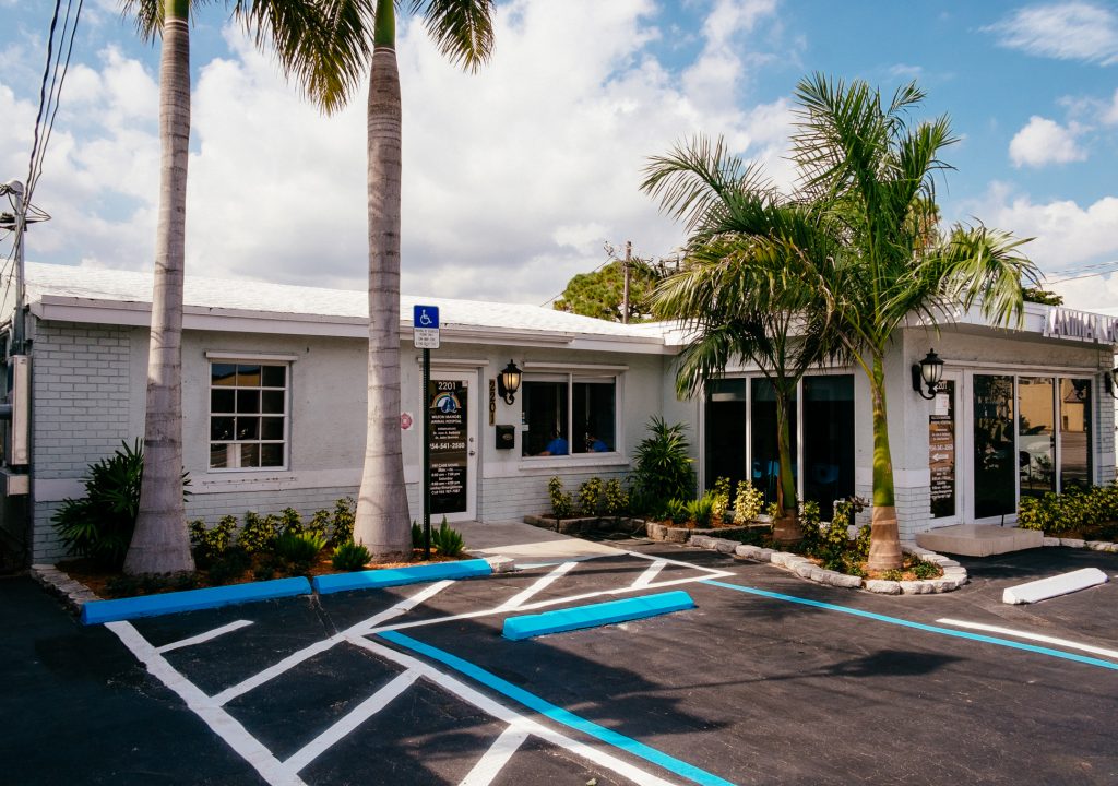 Photo courtesy of Wilton Manors Animal Hospital