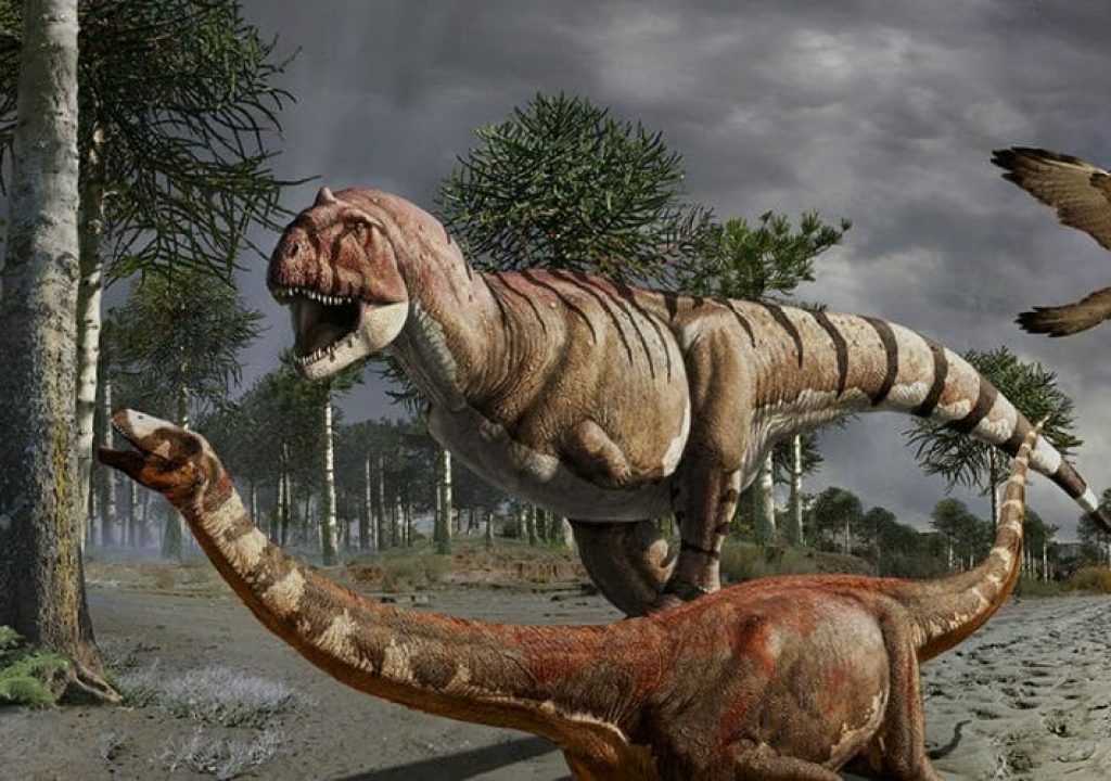 Dino Experience