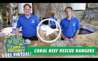 Coral Reef Rescue Rangers