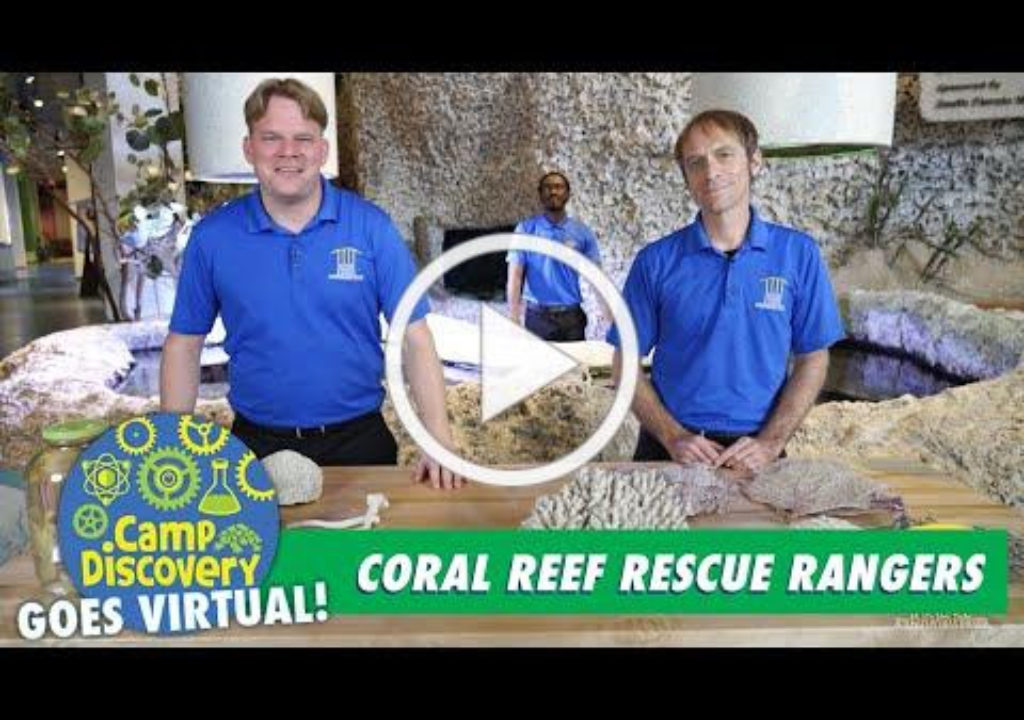 Coral Reef Rescue Rangers